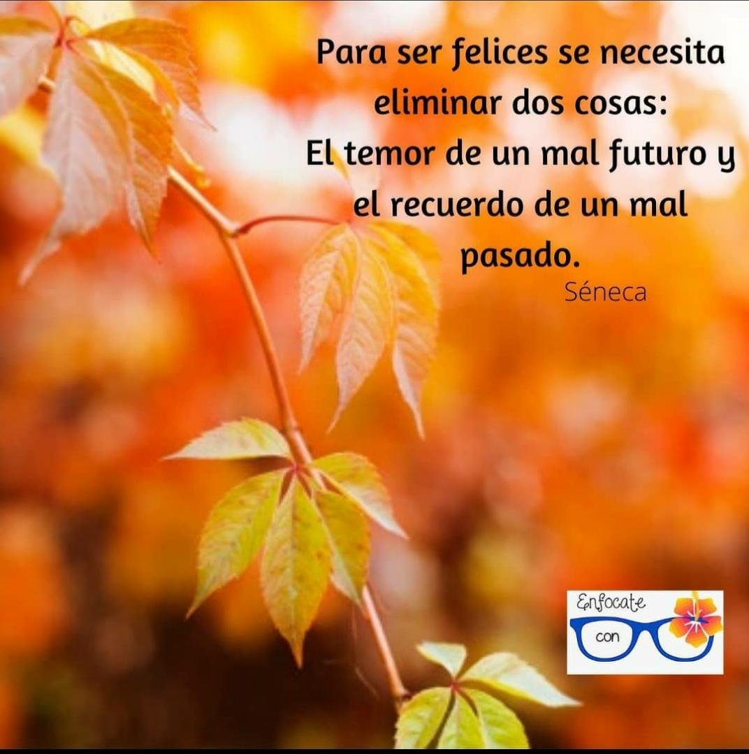 Todos tenemos nuestra "Caja de grillos"